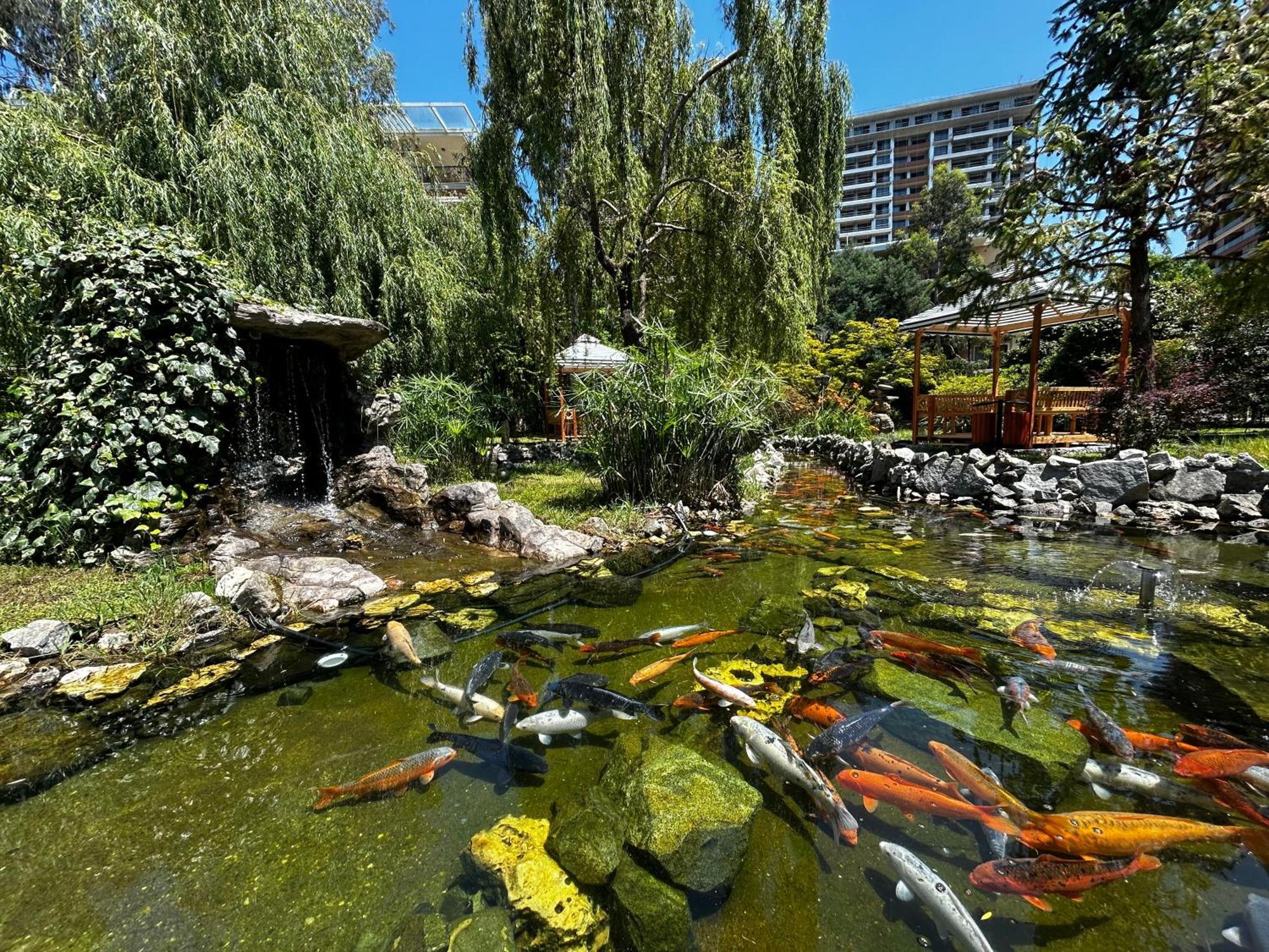 Cемейный Номер С Балконом На 4 Чел Dreamland Oasis Chakvi Bagian luar foto